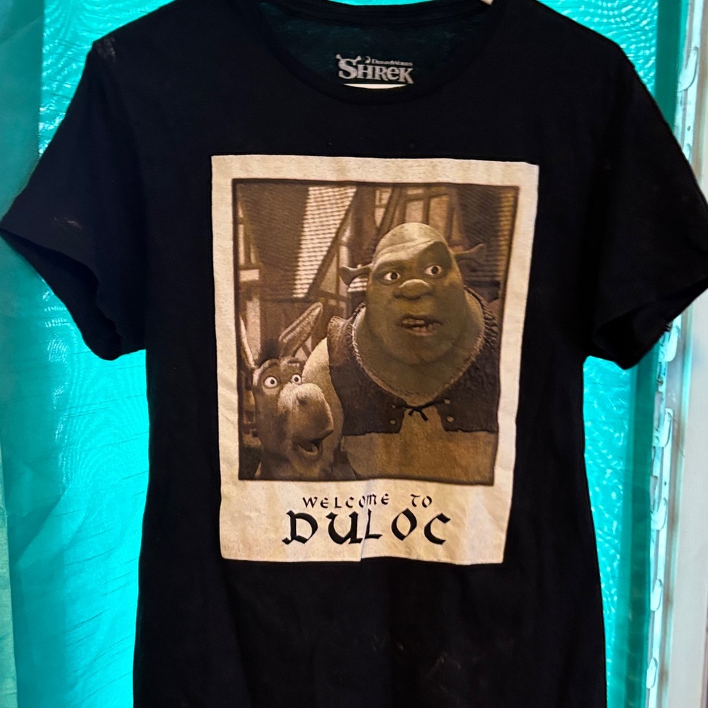 Boys Shrek tshirt